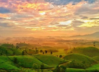 Check in 6 địa điểm nổi tiếng khi đi du lịch Phú Thọ tự túc mùa hè 